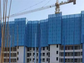 爬架網(wǎng)片 質(zhì)優(yōu)價(jià)廉 鍍鋅爬架網(wǎng)片廠(chǎng)